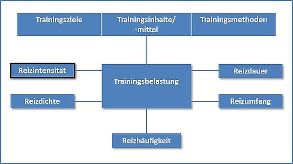 Komponenten der Trainingsbelastung